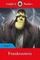 Ladybird Readers Level 6 Frankenstein
