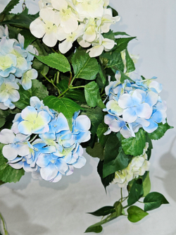 Гортензия бело-голубая 60см в подвесном белом кашпо на цепочке