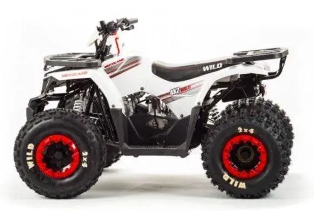 Квадроцикл Motoland 125 WILD (2020 г.)