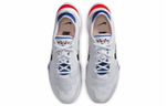 Кроссовки Nike Air Zoom Division