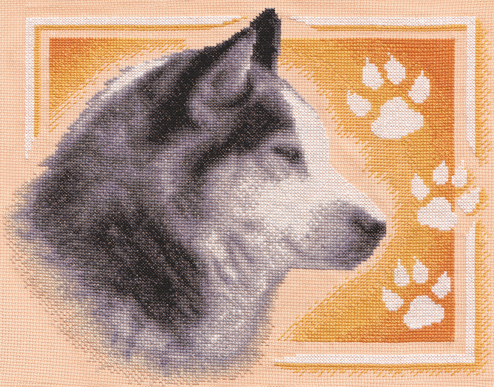 Сибирский хаски