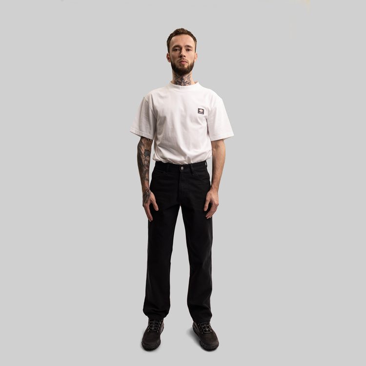 Брюки мужские Dickies Skateboarding Jake Hayes Pants артикул:WPJH01 - купить в магазине Дайс