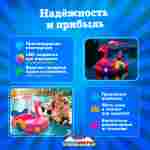 Семейная электрическая лодка-катамаран «Розовый лебедь», 1+1