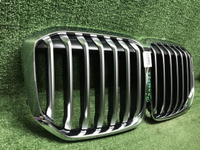 Решетка радиатора BMW X7 G07 (2019-2022)
