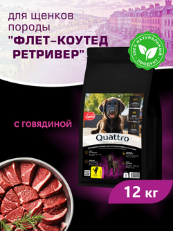Корм сухой для щенков породы Флет-коутед ретривер, с говядиной, 12 кг, QUATTRO