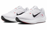 Кроссовки Nike Air Winflo 10
