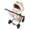 Коляска ANEX e/type 2 в 1 (et-SE04) joy