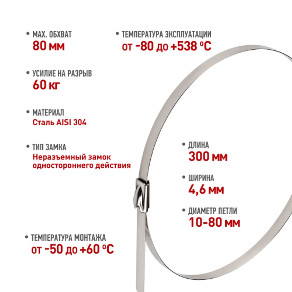 Кабельная стяжка (хомут) стальная AISI 304 ЭРА NO-225-249 4.6 x 300 мм 10 шт | Кабельные стяжки (хомуты) стальные