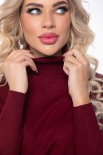 Водолазка Зимняя история (бордовая) Б14522-20М LT Collection