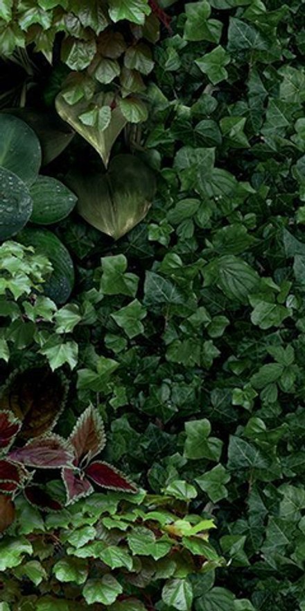 Керамогранит PAPER41 PRO Jane D (4100154)