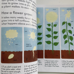 My First Book About How Things Grow.