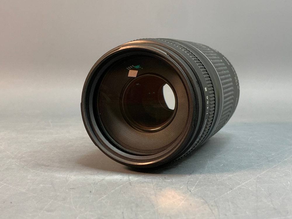 Canon EF 75-300mm 4-5.6 III