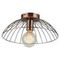Потолочный светильник Lussole Loft Brooks GRLSP-8249