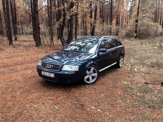 Листва (молдинги) на двери RS для Audi A6 S6 C5