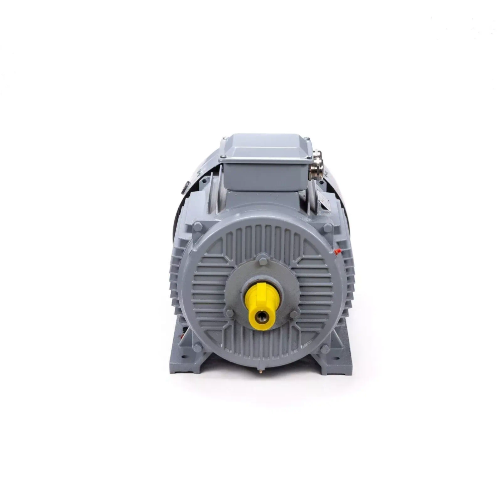 Электродвигатель ESQ PR 355 S4 GST-Б1-S32-IE2 250/1500 IM1001