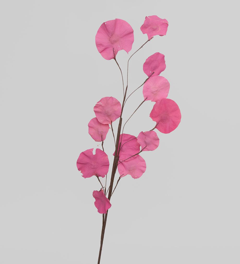 TRN 230 Цветной горошек