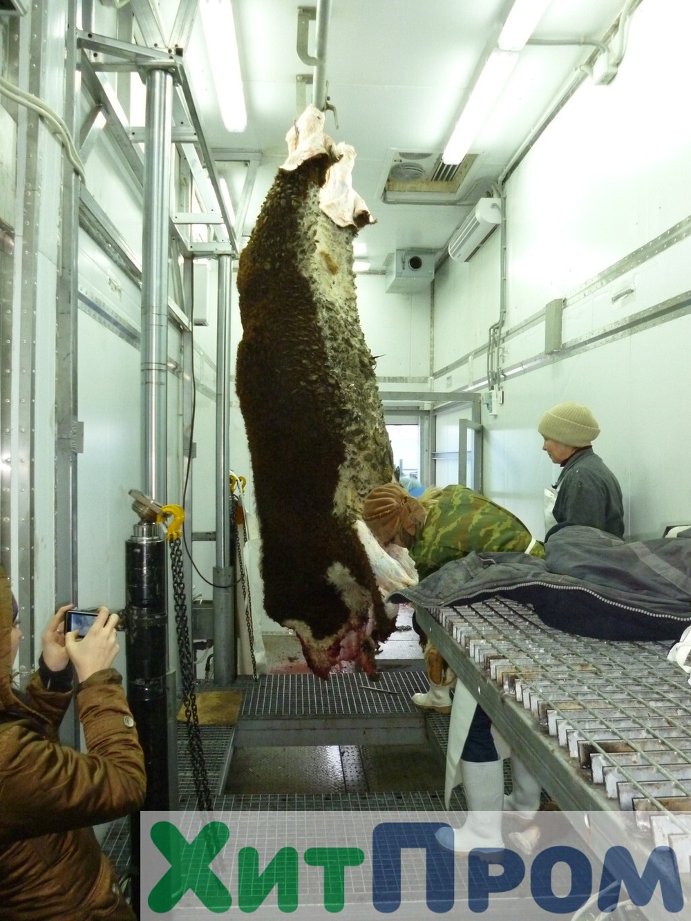 Комплекс убоя и переработки КРС до 20 голов/смена и МРС до 200 голов/смена. р. Татарстан