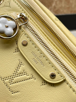 Louis Vuitton Mini Bumbag