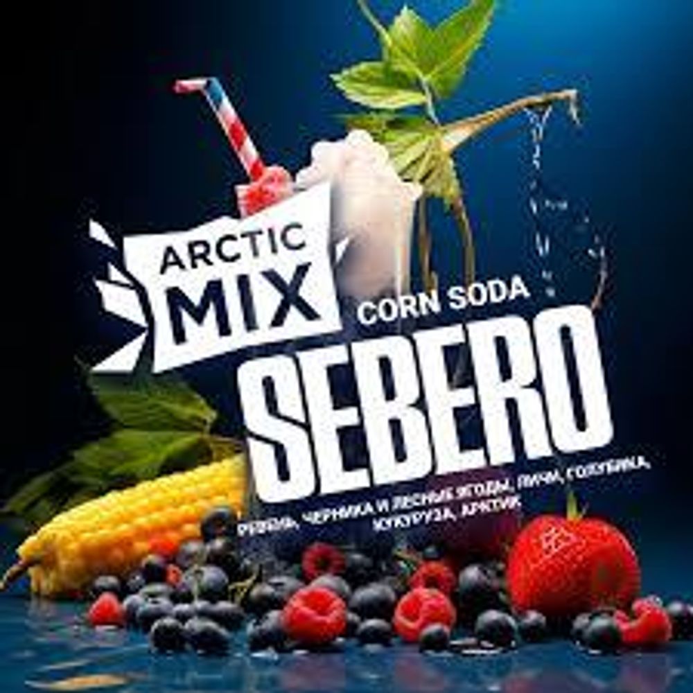SEBERO Arctic Mix Corn Soda (Ревень/Черника/Лесные ягоды/Личи/Голубика) 200г