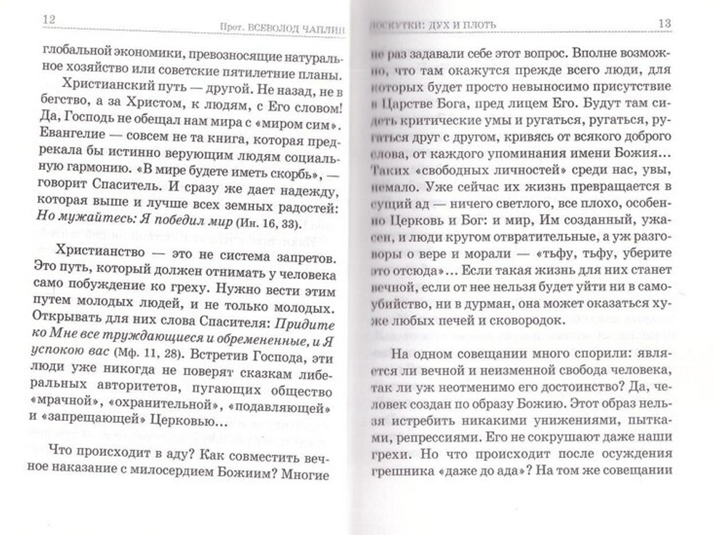 Лоскутки. Протоиерей Всеволод Чаплин