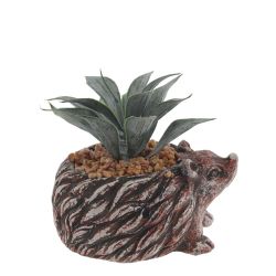 GAEM Цветочная композиция "Суккулент", L14 W12 H12 см, 4в.