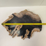 Набор из окаменелого дерева 4 предм Fossil Set NF-63296 поднос 149