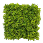 Искусственный мох ягель силикон 25Х25 см.