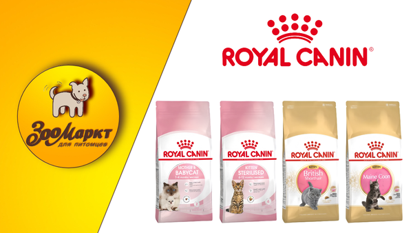 Акция Royal Canin для котят