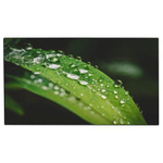 Панель для видеостены Dahua DHI-LS550UDH-UG