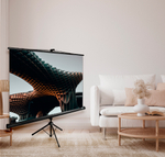 Экран  Cactus CS-PSTE-220X165-BK