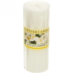 Свеча «Fantasy-Утренний Жасмин» 4,8*12,4см YZ006