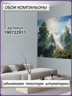 3D Фотообои утренний лес в тумане
