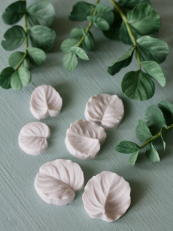 Набор вайнеров для лепки листьев эвкалипта Coprussia