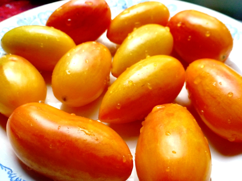 Помидоры Blush — Стыдливый Румянец