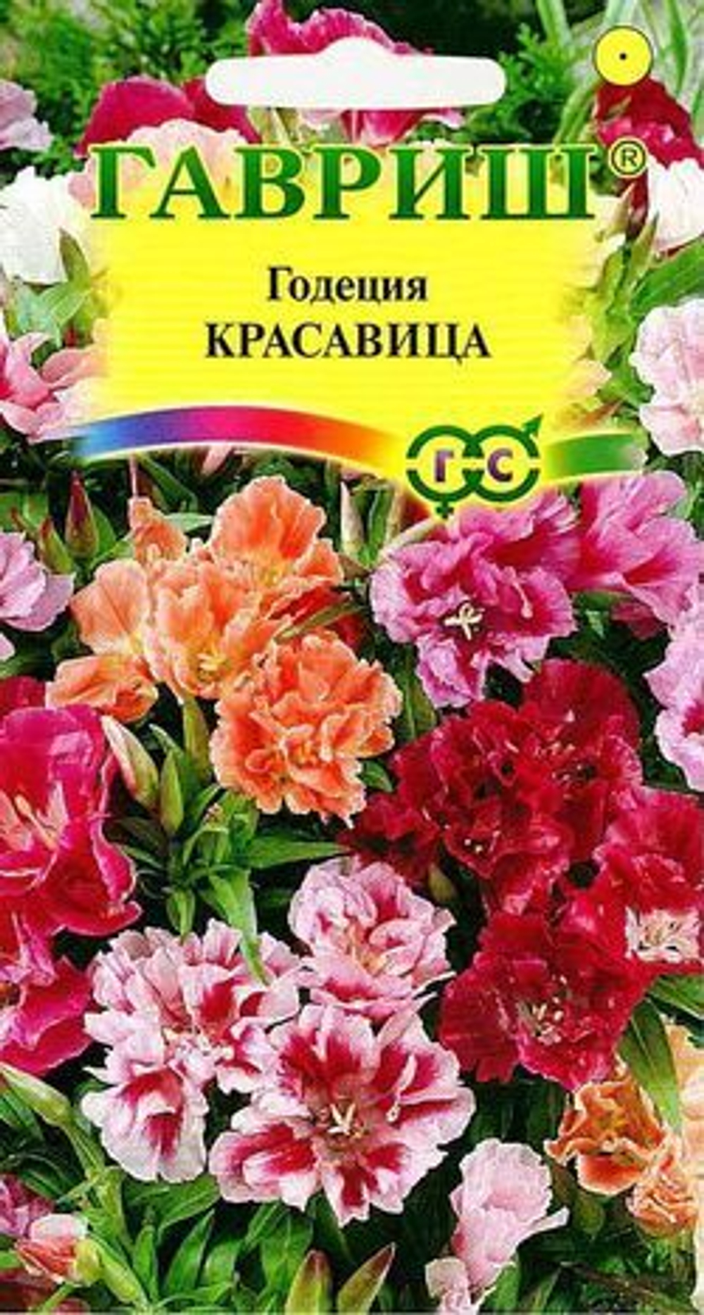 2akzatr4d1oeyr45p9t545v64ppvk4iu