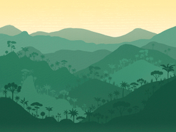 JUNGLE 5