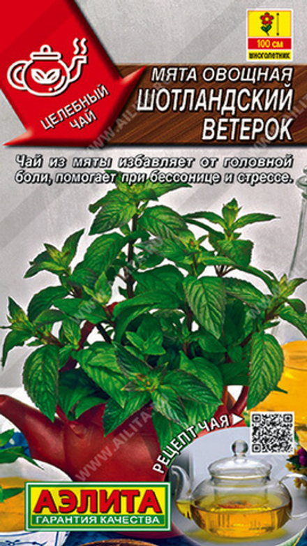 Mятa овощная "G. Шотландский ветерок" 0.03г., Россия.