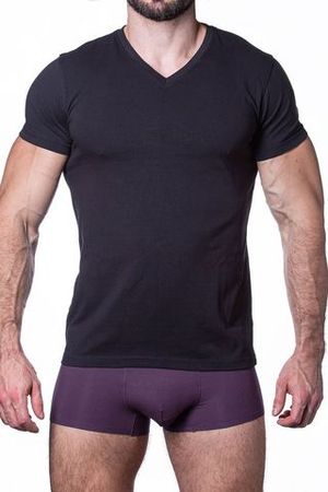 Мужская футболка T751-2 Sergio Dallini