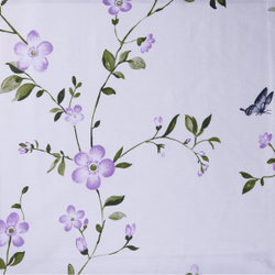 Постельное белье СайлиД BP-145 сатин