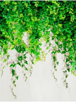 Фотообои Листья в зал, в спальню, в гостиную, на кухню 200х270