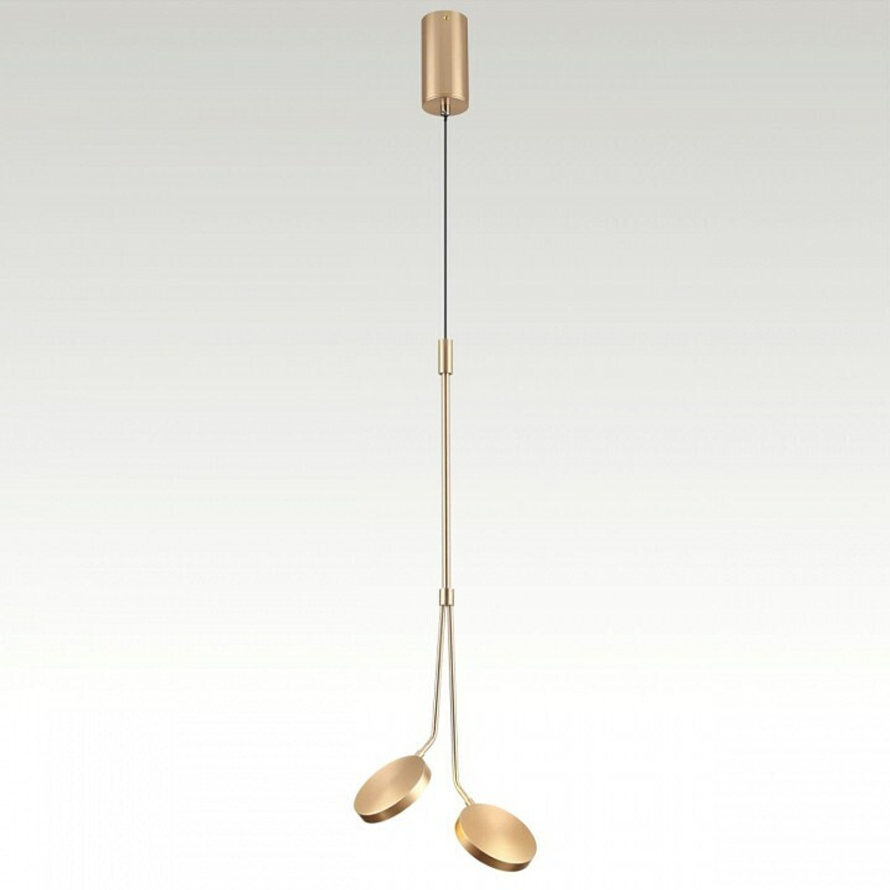Подвесной светильник Odeon Light 5011/16L