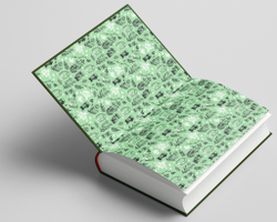 Хозяйка магической лавки. Книга 3