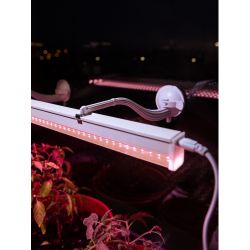 Светильник для растений фитолампа светодиодная линейная ЭРА GREEN LINE ФИТО-18W-PFR-GR полного спектра 18 Вт