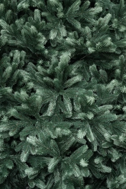 Искусственная ель Царская 4 м., ствольная, интерьерная, 100% Литая хвоя, ЕлкиТорг (194400)