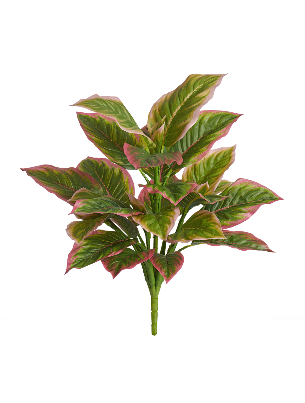 Диффенбахия куст нежно-зелёно-розовый в-52 см, д-40 см (Sensitive Botanic) 6/60 20.1159PK