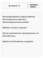 Семена кабачков Ясмин F1, 5 семян (Vita Green / Вита Грин)