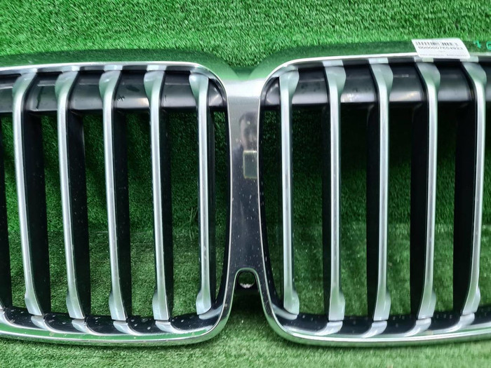 Решетка радиатора BMW X7 G07 (2019-2022)