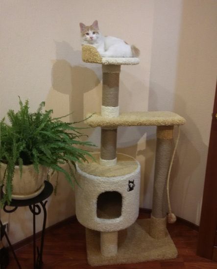 Комплекс для кошек Д-2