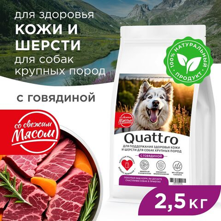 Корм сухой для взрослых собак крупных пород, премиум полнорационный комплекс, здоровье кожи и шерсти, с говядиной, 2,5 кг, QUATTRO