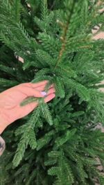 Ель искусственная «Адель» (Литая хвоя) 180 см / 1,8 м